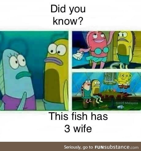 Did you know?