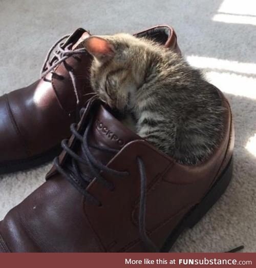 Shoes for scale… and bed