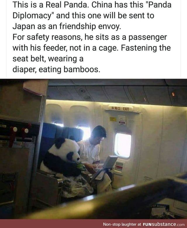 Makes me want to be a Panda