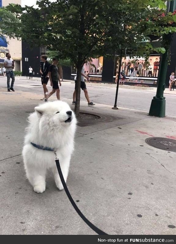 smol cloud boye does an a w o o