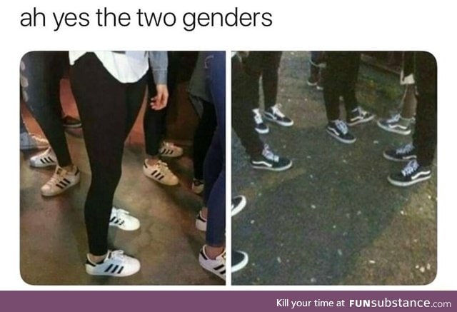 There are only 2 genders