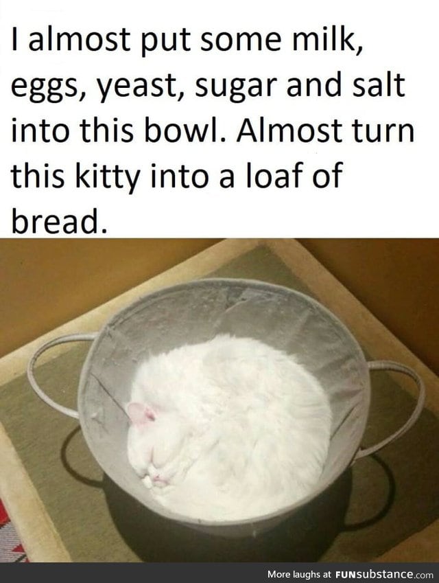 His fur is white as flour