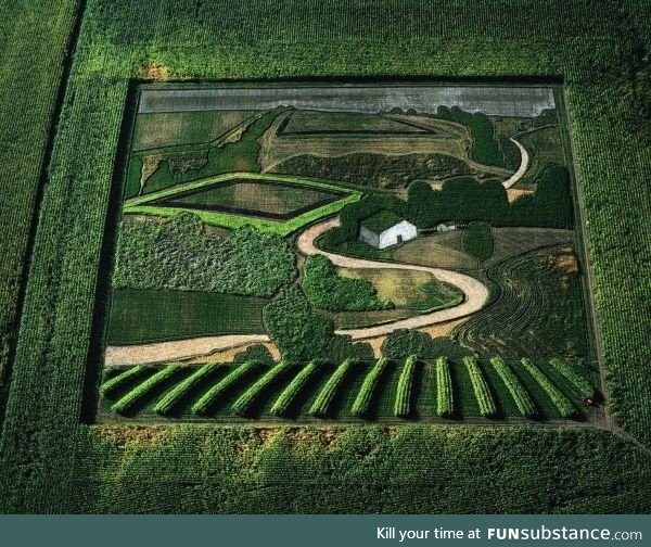 A crop field in a crop field