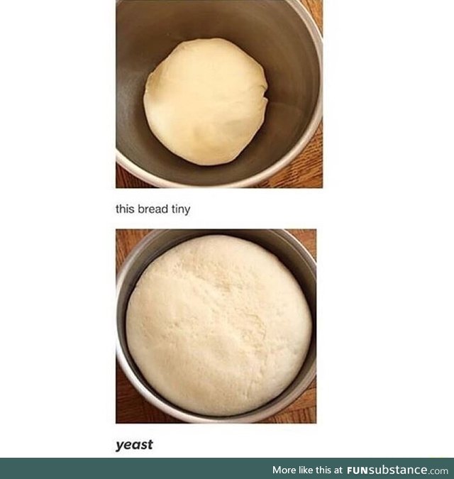 Yeast!