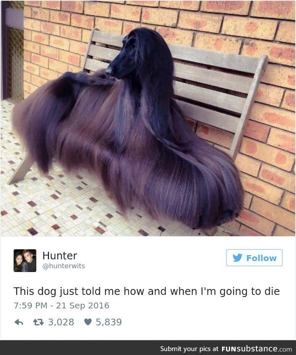 Hair goals