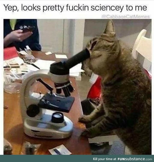 Science cat