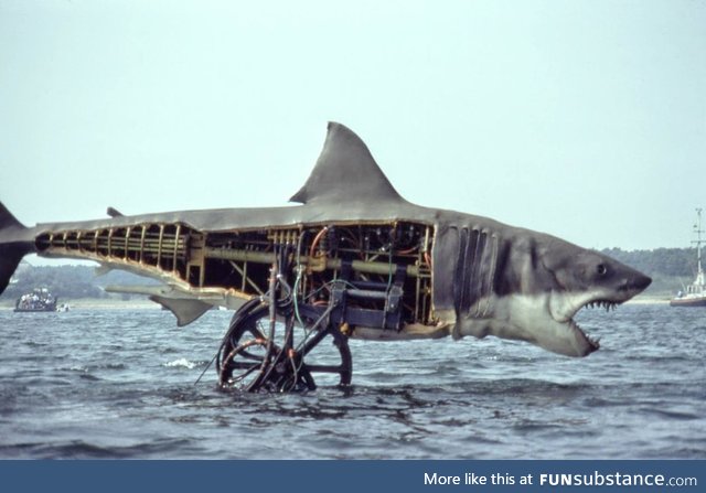 The Shark from the 1975 Spielberg film 'Jaws'