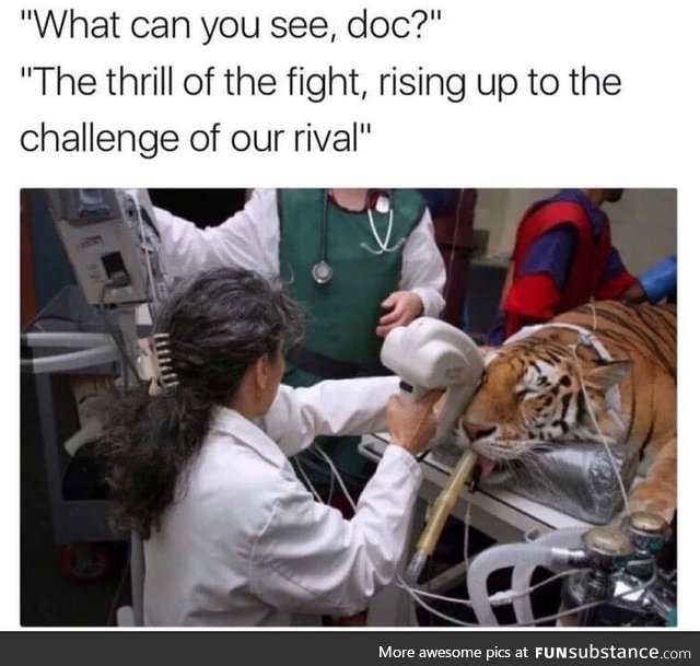 Eye Of The Tiger