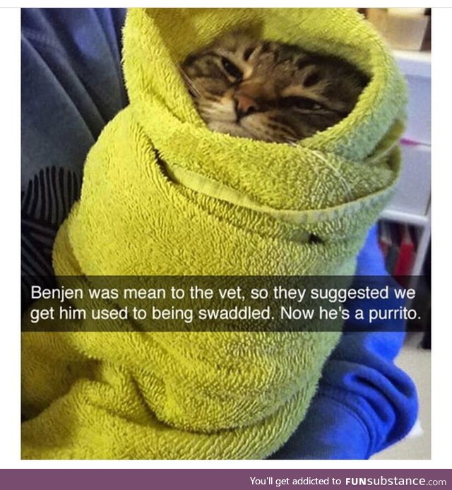 Purrito