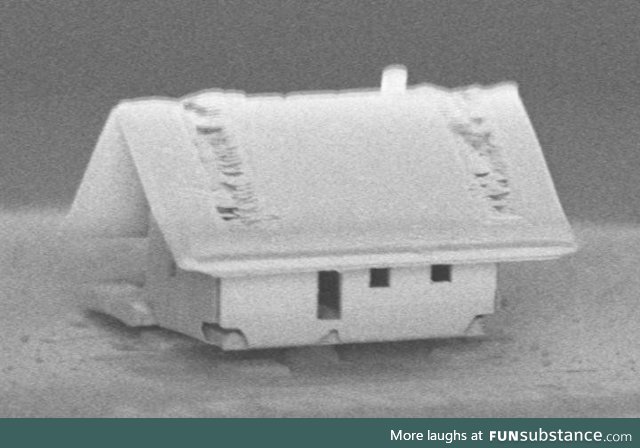 The world's smallest house - assembled inside a scanning electron microscope’s vacuum