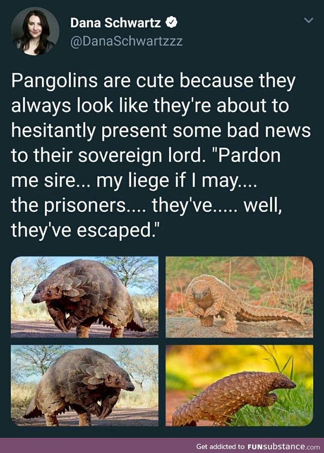 Pangolins