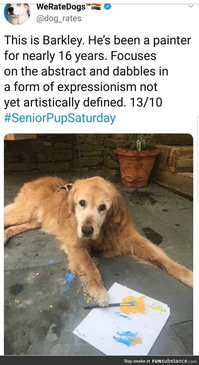 Artistic dog