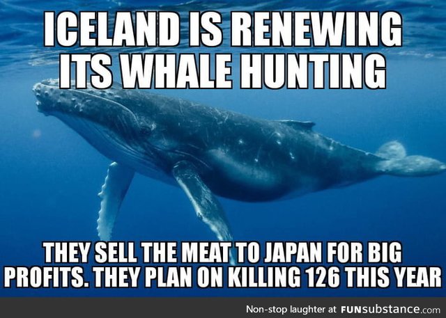 Screw you iceland