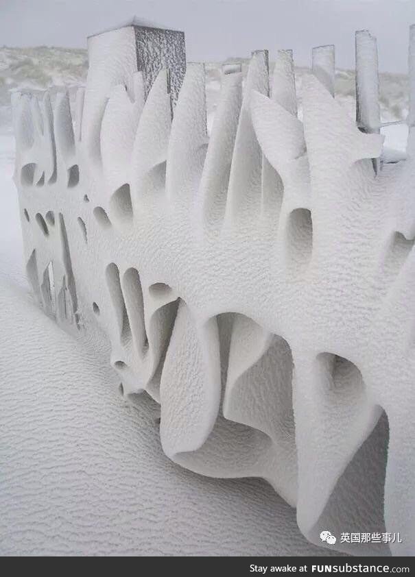 The snow on this fence