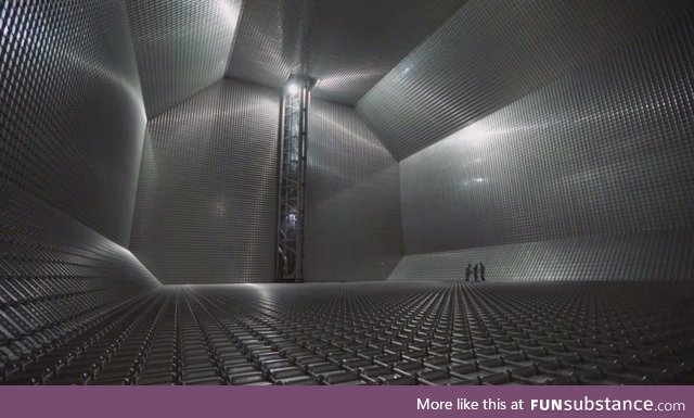 Cryogenic tank in a cargo ship to move liquid natural gas