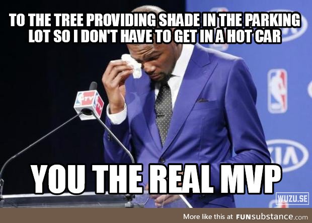 Thank you trees