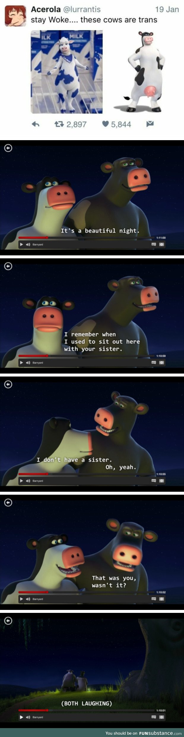 Trans cows