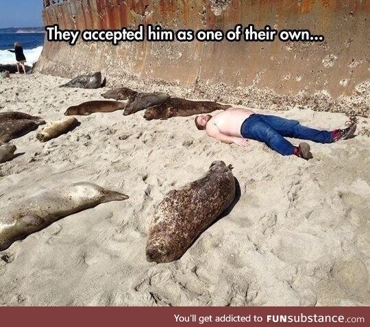 Silly seals