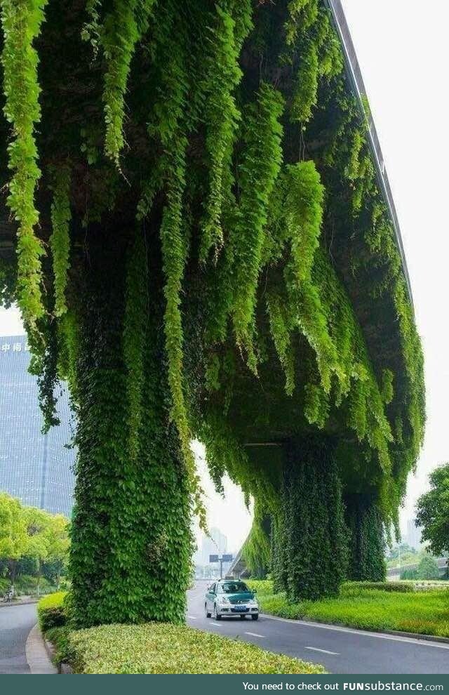 Vertical Garden on a over pass