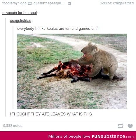 Koalas are so metal!