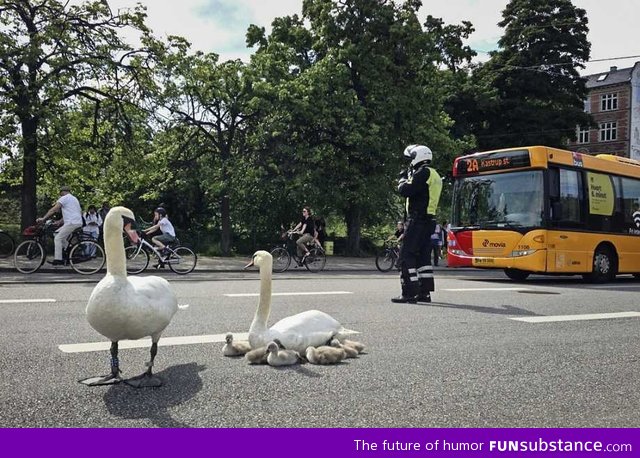 Copenhagen street shut down by police, because of...