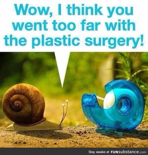 Snail went for plastic surgery