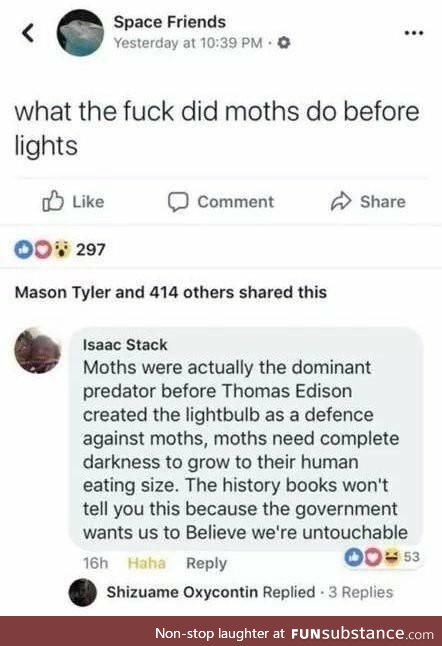 Moths were once the dominant predators