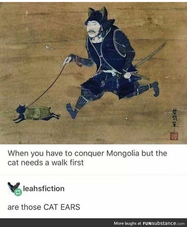 That's a weird looking cat