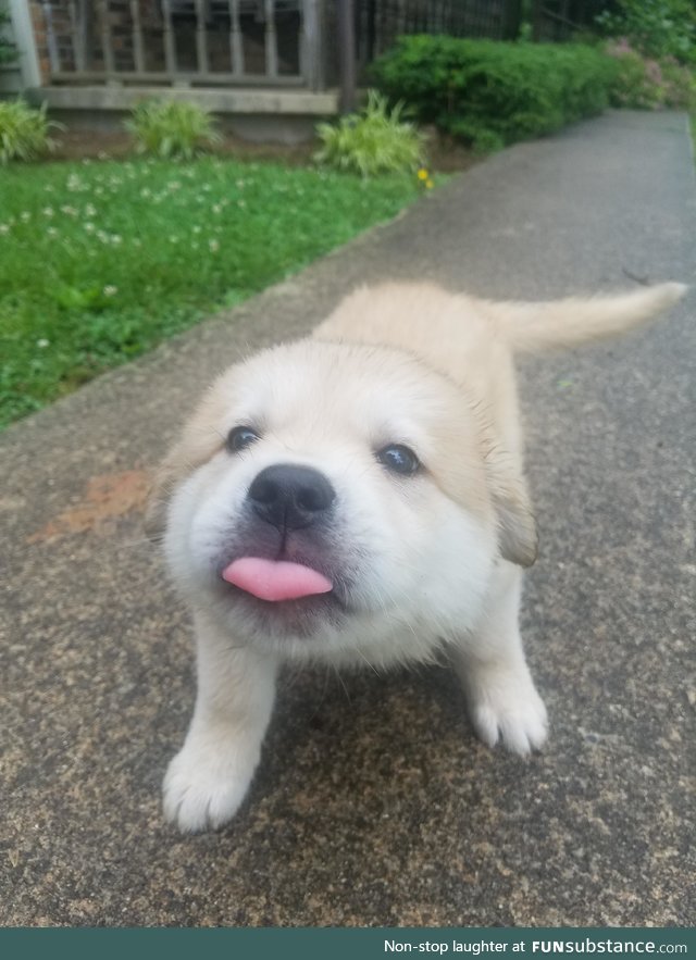 blep :P!