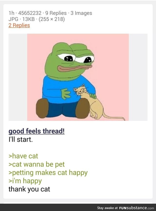 Anon has a cat