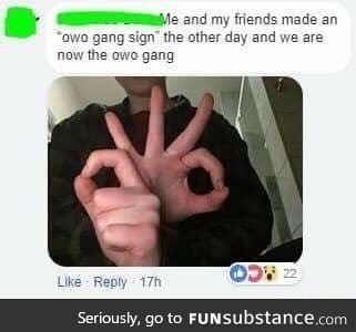 oWo gang