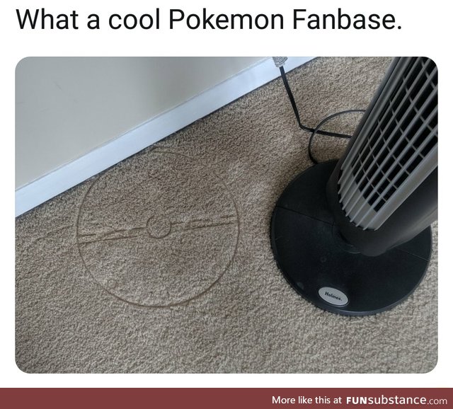 Pokemon fanbase