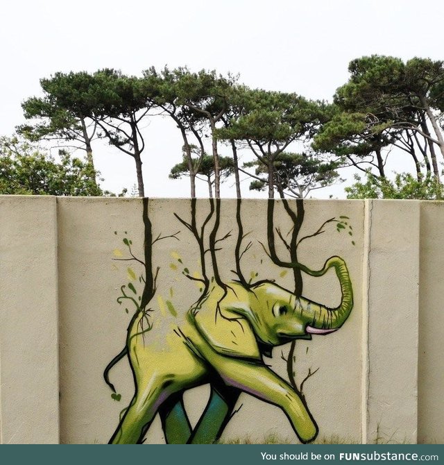 South african street art