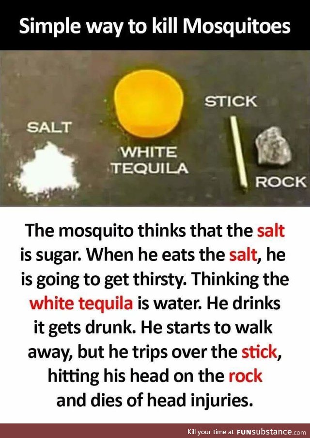 How to kill mosquitos