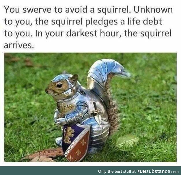 Sir Squirrel