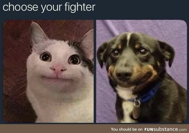 Choose your fighter