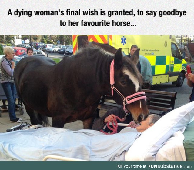 Dying wish