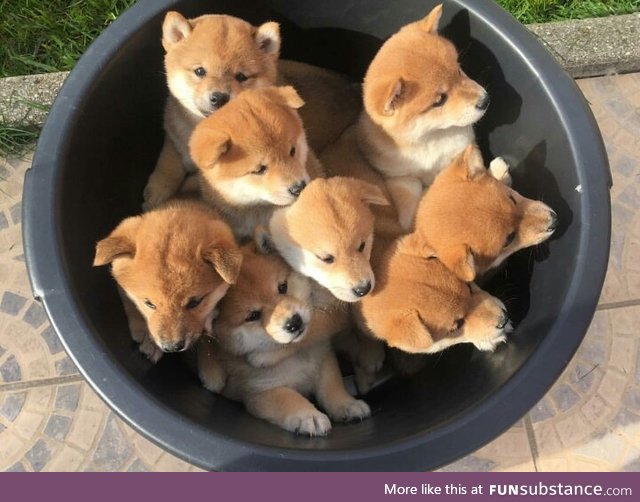 bucket of love <3