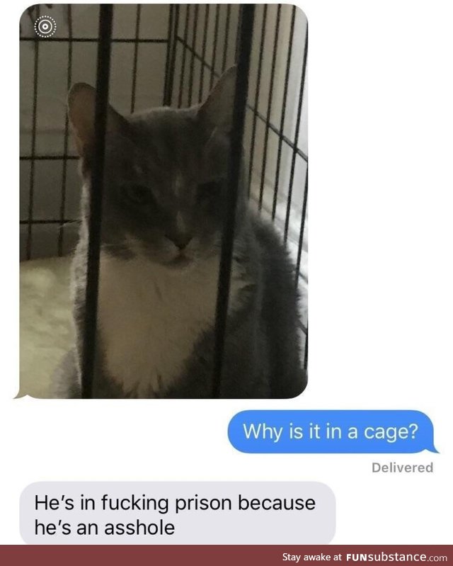 Cat prison