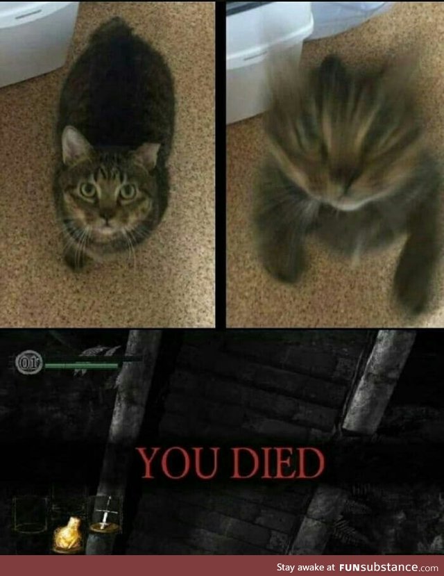 You died