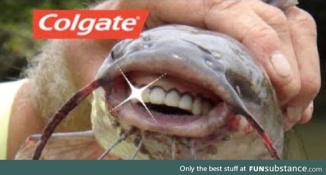 Colgate