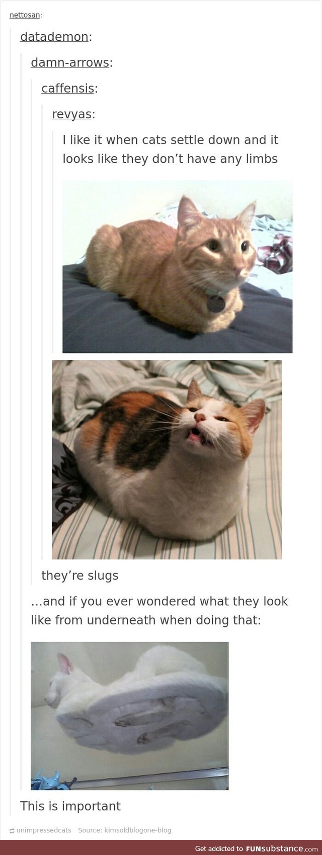 Loaves