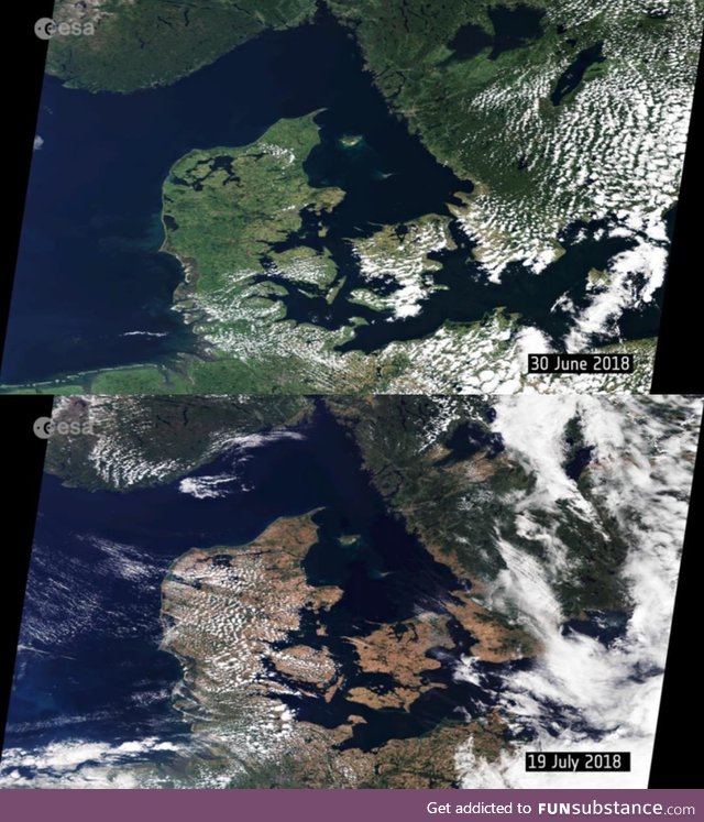 The European heatwave as seen from space