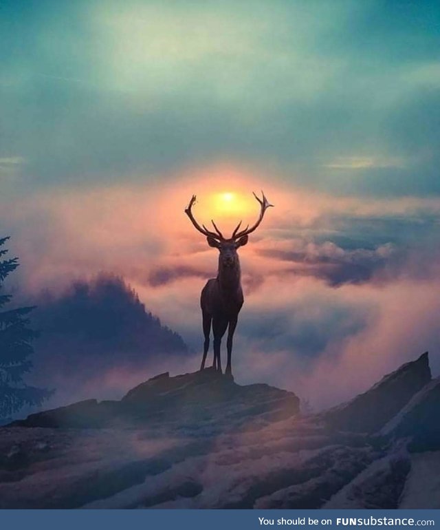 Scottish stag holding the sun with its antlers