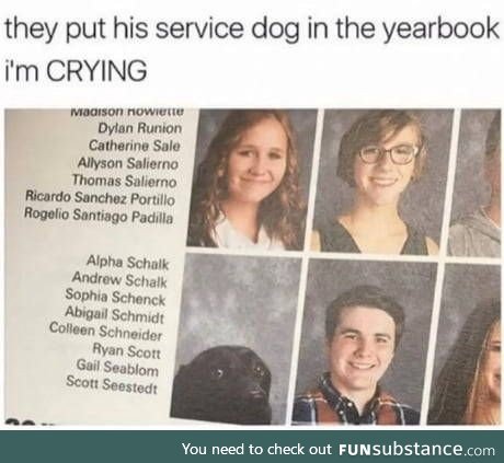 Yearbook