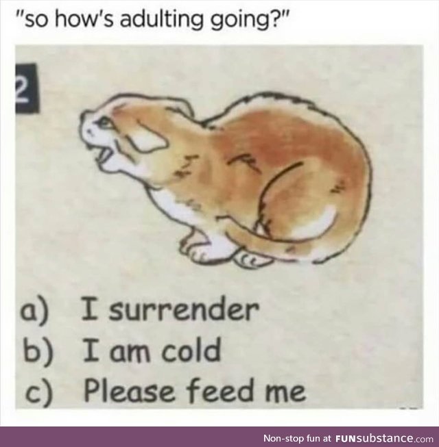 Adulting