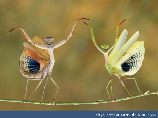 Winner of the National Geographic's 2014 photo contest