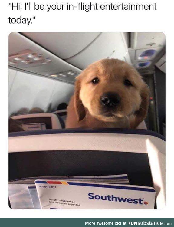 Best...Flight...Ever