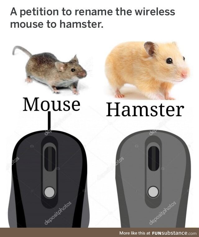 Wireless shall now be called a hamster