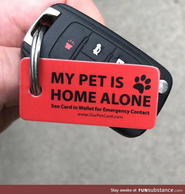 Great thing to have if you are a pet owner!